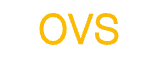 OVS ES