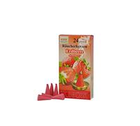 013370 - Velas de Incienso - Fresa 24 pzas, Cono