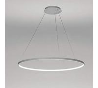 1 Luz Círculo Luz Colgante LED Metal Acrílico Lámpara De Araña Moderna Suspendida Ajustable Luz Colgante para Sala De Estar Dormitorio Cocina,White+WhiteLight-80cm