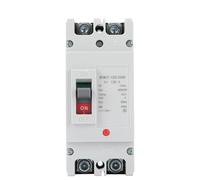 1 Uds 1P 2P DC disyuntor de caja moldeada Mccb 125A 250A NTM1Z-125