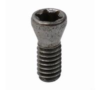 10 tornillos avellanados T20 M2,5 x 7 mm para aglomerado | Ajuste perfecto para placas 11ER/11IR, alta sujeción, resistente a la corrosión, repuesto ideal
