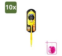 10 unidades de plumero telescópico Swiffer Duster XXL con mango de 90 cm y 1 paño para polvo, pack económico