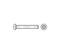 100 x ISO 7380 Tornillo de cabeza plana antirrobo VG M6 x 16 Acero Inoxidable A2 Blank TX-TR