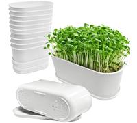 10x Maceteros Rectangular Con Bandeja,22 x 9 x 8,5cm,Blanca Plástico Planificadores Rectangulares con Agujero Drenaje,Jardinera Alféizar Maceta Para Cactus Para Decoración Moderna,Plantas Suculentas