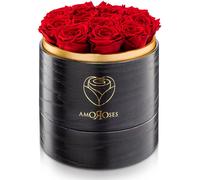 12 rosas conservadas en una caja de madera para sombreros, de color con motivos de rosas rojas