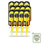 12 unidades de plumero telescópico Swiffer Duster XXL con mango de 90 cm y 1 paño para polvo – Pack ahorro