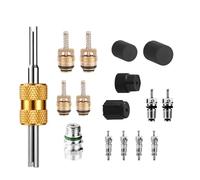 16uds Kit Núcleos Válvula Aire Acondicionado, Núcleos Válvula Servicio para R134a & R12/R22 Sistemas y Tapones Presión Reparación Puerto Carga Coches Camiones SUV Mantenimiento Sistema HVAC AC
