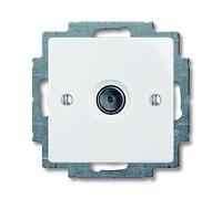 1743-01-94-507 Placa central para toma de antena 4011395091616