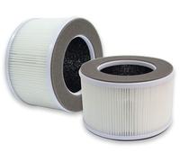 2 filtros HEPA de repuesto para Greenote AP10