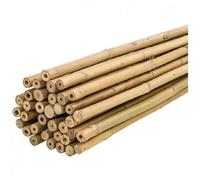 20 - 40 Unids Tutores, Palitas, Cañas de Bambú Para Plantas o Decoracion Jardin Hogar - Maxia Market