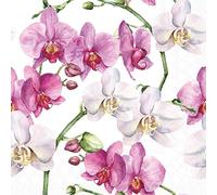 20 servilletas de papel Ambiente - Elegante orquídeas blancas - Decoración de mesa con motivo también para fiestas o decoupage 33 x 33 cm