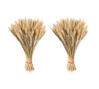 200 Tallos De Orejas De Trigo Secas, Ramo De Trigo, Gavillas Secas Naturales Doradas, Manojo De Tallos Para Arreglo De Otoño, Decoración De Mesa En Casa, Manojo De Hierba Seca En Grano Para Arreglos D