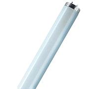 25 pieza lámpara fluorescente L 36 W 840 - OSRAM