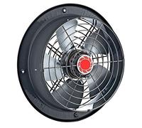 250mm Industrial Ventilador de pared Ventilación Ventiladores industriales extractores aspiracion mura pared extractore extractor Extractor Helicoidal 25 cm