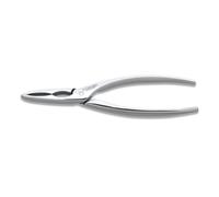 3 Claveles - Pinza Corta Mariscos Profesional Dentada 16 cm