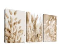 3 Pcs Marco de Madera Cuadro Moderno Hierba de la Pampa Beige Salvia Floral Lienzo Decorativos Pintura Imagen Boho Flores Botánicas Cuadros Decoracion Salon Dormitorios Baño Pasillo 30cmx40cmx3