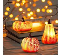 3 Piezas Luces de Calabaza Led, Luces Calabaza Halloween | Calabaza Decoración de Otoño Interior, Kits Otoño Halloween Calabaza Decoraciones