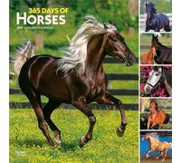 365 Days of Horses | 2027 12 x 24 Inch (Hanging) Monthly Square Wall Calendar | Plastic-Free | BrownTrout | Animals Equestrian