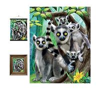 3D LiveLife Lenticular Cuadros Decoración - Lémur de cola anillada de Deluxebase. Poster 3D sin marco de animales salvajes. Obra de arte original con licencia del reconocido artista, Michael Searle