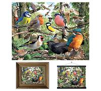 3D LiveLife Lenticular Cuadros Decoración - Naturaleza de Deluxebase. Poster 3D sin marco de pájaros. Obra de arte original con licencia del reconocido artista, David Penfound
