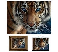 3D LiveLife Lenticular Cuadros Decoración - Ojos azules de Deluxebase. Poster 3D sin marco de tigres. Obra de arte original con licencia del reconocido artista, Steve Sundram
