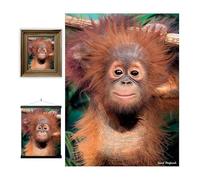 3D LiveLife Lenticular Cuadros Decoración - Orangután de Deluxebase. Poster 3D sin marco de monos. Obra de arte original con licencia del reconocido artista, David Penfound