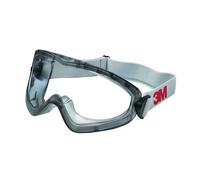3M - Gafa Panoramica 2890