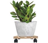 3X Rodillos Para Plantas Cuadrados 30Cm 120 Kg Maceta Plato Rodante Carro Cubo