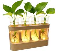 4 Piezas Jarrones de Vidrio Hidropónico,Jarrón De Tubo De Ensayo con Soporte De Madera,Estación De Propagación De Macetas con Luces LED para Plantas Hidropónicas,Decoración del Hogar (Luz cálida)