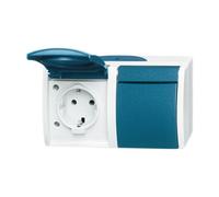 46073 EW-53 Doble base SCHUKO® con campo de rotula 4011395993316