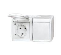 46073 EW-54 Doble base SCHUKO® con campo de rotula 4011395079652