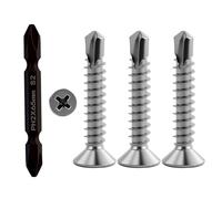 55 piezas M4.2 x 25 mm tornillos de cabeza plana, tornillos roscachapas acero, tornillos autorroscantes phillips, acero inoxidable, con 1 pieza de doble cabeza Phillips, para paredes, techos, suelos