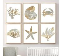 6 Piezas de Coral Abstracto Estrella de Mar Concha Algas Vida Marina Cuadro Sobre Lienzo para Pared Carteles e Impresiones Cuadros de Pared Decoración de Habitación Bebé Niños-40*50Cm (Sin Marco)