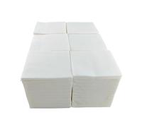 600 Servilletas Blancas de Papel - Pequeñas e Individuales - Textura micropunto - Más Gruesas y Absorbentes - Ideal para Eventos de Catering, Bares y Fiestas - 10 x 10 cm Plegadas - Hostelnovo