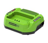 Greenworks Cargador de batería G60UC – Li-Ion 60V 120W 2A, apto para serie Greenworks 60V