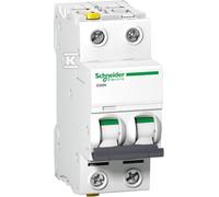 A9F05206 iC60N-D6-2 Interruptor automático D 6A 2P
