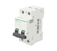 A9N61535 Interruptor de sobrecorriente 500VDC lNenn: 32A polos: 2 para carril...