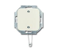 ABB Interruptor de instalación Busch-Jaeger SI - 2CKA001315A0423