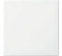 ABB Interruptor Inteligente Basculante Blanco - 2CKA006730A0162 [10 Piezas]