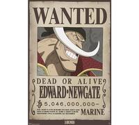 ABYSTYLE Póster One Piece Wanted Whitebeard 61x91,5cm