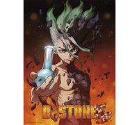 ABYSTYLE Póster sin marco de Dr. Stone Senku de 15 x 20.5 pulgadas con anime Senku manga arte de pared impresiones para decoración de habitación para regalo de dormitorio