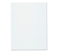 Acan - Lienzo de pintura en blanco, 100% algodón, preestirado 280 g/m2, listones de madera, apto para todo tipo de pinturas, óleo, acrílica, (30 x 60 cm) White