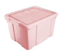Acan Tradineur - Caja de Almacenamiento con tapa - Fabricado en plástico - Contenedor para almacenar Libros, ropa, mantas - N.º 1-16 Litros - 21,5 x 39,6 x 29,6 cm - Color Rosa