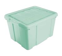 Acan Tradineur - Caja de Almacenamiento con tapa - Fabricado en plástico - Contenedor para almacenar Libros, ropa, mantas - N.º 2-25 Litros - 25,6 x 42,2 x 35 cm - Color Verde Pastel