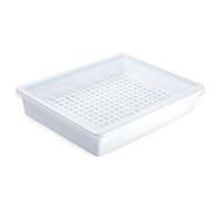 Acan Tradineur - Pack de 4 bandejas frigoríficas de Almacenamiento con Tapa y Rejilla, plástico, Reutilizable, descongelar Alimentos, Fabricado en España - 4 litros - 35 x 27,5 x 6,5 cm - Blanco