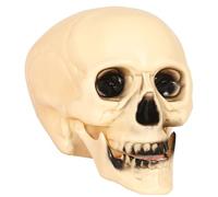 Accesorios Halloween Calavera