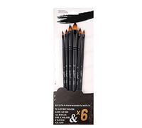 Acrylic Paint Brush Set Professional Soft Nylon Bristles Multipurpose Watercolor Brushes for Artists Students 6Pcs Birch Wood Handle (Cat Tongue)