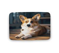 ADFGYERH Smart Corgi - Alfombra de baño lavable, antideslizante, terciopelo coral, alfombra de área para suelo de baño, bañera y ducha, accesorios de decoración del hogar, 19.7 x 31.5 pulgadas