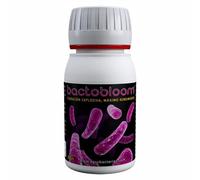 Aditivo en Polvo de Microbacterias para Floración Agrobacterias BactoBloom (50g)