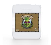 ADVANCED NUTRIENTS - BIG BUD COCO 10L - FERTILIZANTE FLORACION